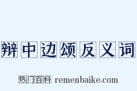 辩中边颂反义词是什么意思的图片